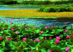 黑龍江海林蓮花湖風光