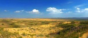 白芨灘自然保護區 白芨灘自然保護區