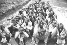 茅茅運動 茅茅運動