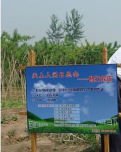 天上人間日總會 天上人間日總會