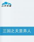 三國之天意弄人 三國之天意弄人