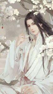 雲錦[《妾本驚華》男主]