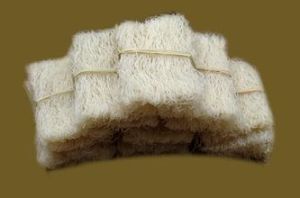 東陽索粉 東陽索粉