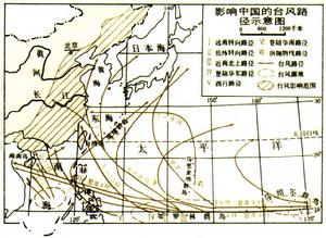 中國的颱風