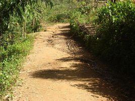 肖家寨村[雲南省臨滄市鎮康縣軍賽鄉下轄村]