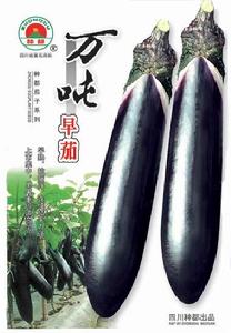 萬噸早茄 萬噸早茄