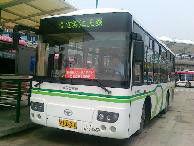 江五專線 江五專線