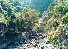 恩平七星坑原始森林 恩平七星坑原始森林