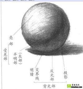 明暗五調子 明暗五調子