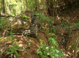 松毛嶺保衛戰 松毛嶺保衛戰