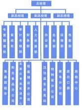 防禦型戰略組織 防禦型戰略組織