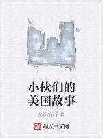 小伙們的美國故事 小伙們的美國故事