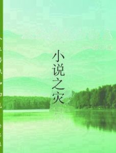 小說之災 小說之災