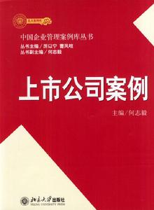 上市公司案例