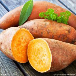 紅薯食品安全性 紅薯食品安全性