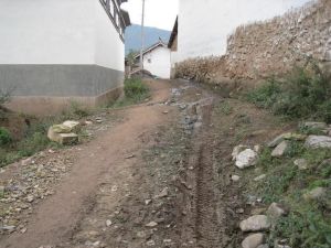 己彎自然村 己彎自然村