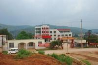 桃園大村 桃園大村