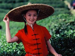 茶歌茶舞 茶歌茶舞