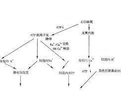急性心肌梗塞早期變化過程