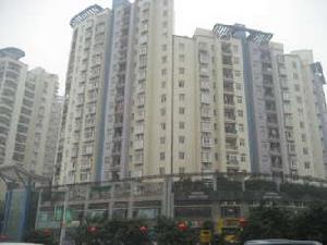 金科麗苑 金科麗苑