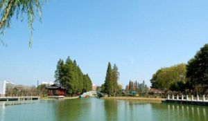 泗水公園 泗水公園