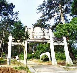 （圖）溪口·蔣母墓道風景圖