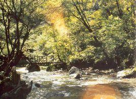 曲溪國家森林公園 曲溪國家森林公園