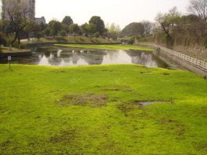 壽昌公園 壽昌公園