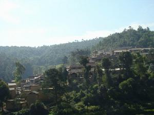 耐泥箐村 耐泥箐村