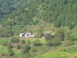 石俄箐自然村 石俄箐自然村