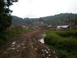 斗普村[雲南曲靖市羅平縣阿崗鎮下轄村]