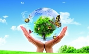 亞太環境保護協會