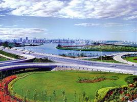 新余現象 新余現象