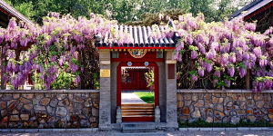 靜園六院 靜園六院