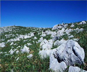 中國的喀斯特(岩溶) 中國的喀斯特(岩溶)