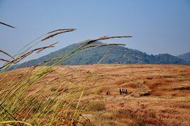 黃荊山省級森林公園 黃荊山省級森林公園