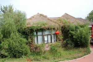南山萬松園 南山萬松園