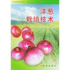 洋蔥栽培技術 洋蔥栽培技術