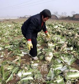 經營損耗定律 經營損耗定律