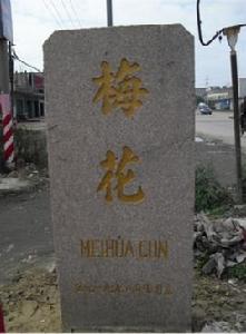 梅花村[廣東省汕頭市潮陽區金浦梅花鄉村]