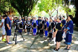 水族音樂 水族音樂