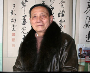 胡云[胡開文紀念館館長]