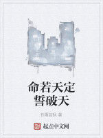 命若天定誓破天 命若天定誓破天