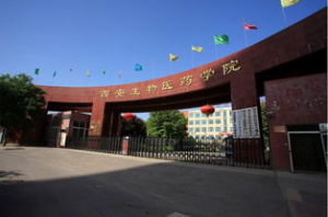 西安生物醫藥技術專修學院 西安生物醫藥技術專修學院