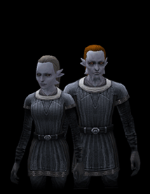 《卡米洛的黑暗時代》