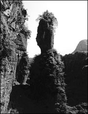 四野屯自然保護區 四野屯自然保護區