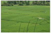 稍基窪自然村 稍基窪自然村