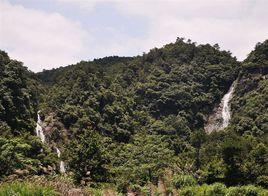 浙江大溪國家森林公園 浙江大溪國家森林公園
