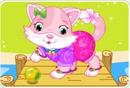 可愛的凱迪貓 可愛的凱迪貓