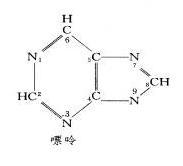 鳥嘌呤無環鳥苷 鳥嘌呤無環鳥苷